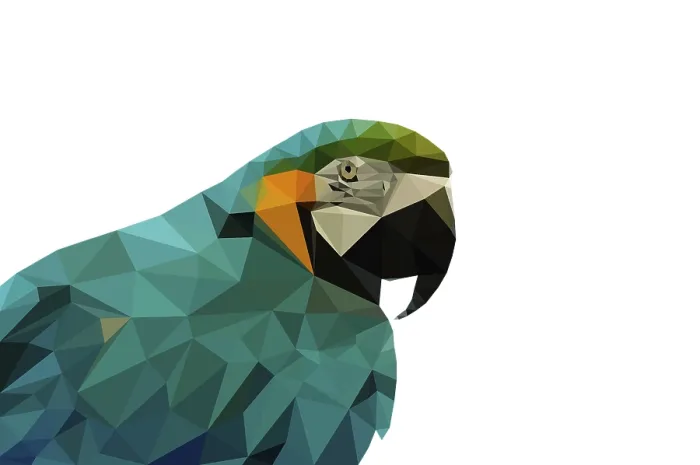 Framed Print : Colored parrot bird low poly illustration technique Framed Print : Colored parrot bird low poly illustration technique