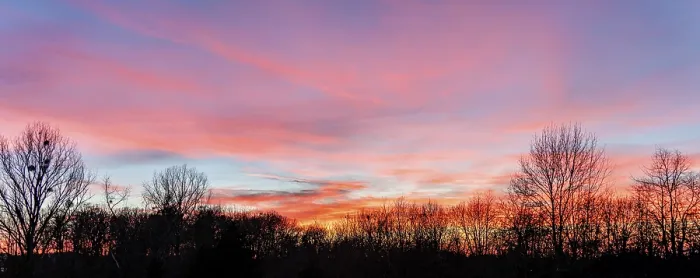 Framed Print : A colorful sundown including some clouds behind some leafless treetop silhouettes