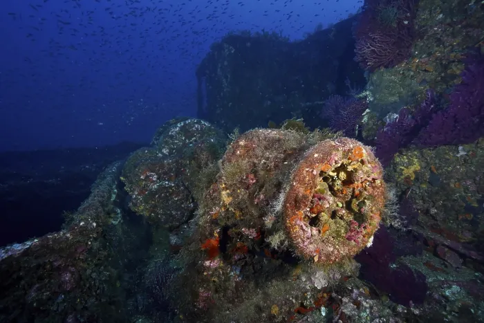 Framed Print : A colorful wreck in the depths of the sea with vivid corals Framed Print : A colorful wreck in the depths of the sea with vivid corals