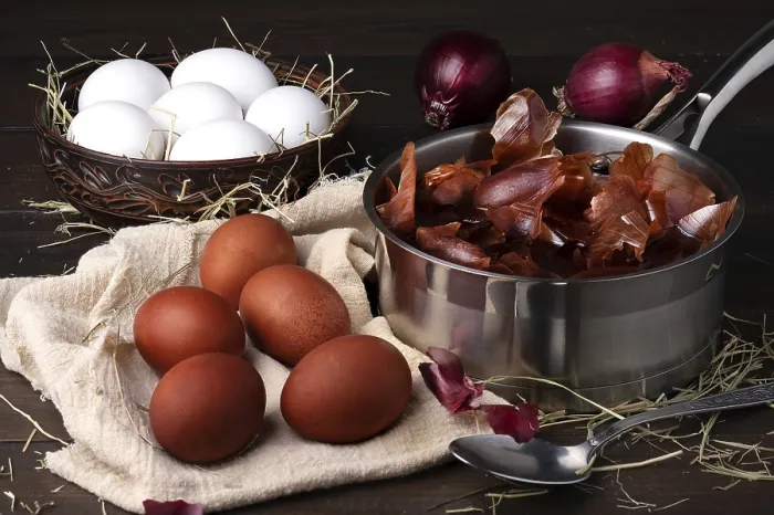 Framed Print : Coloring chicken eggs for Easter with onion peel