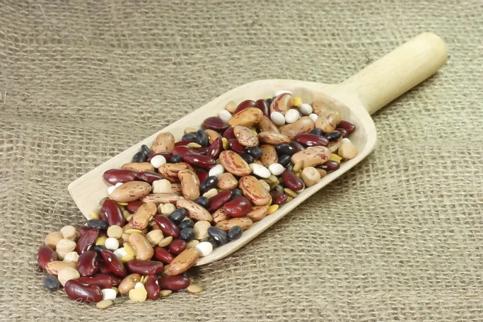 Framed Print : Colourful beans on a wooden shovel