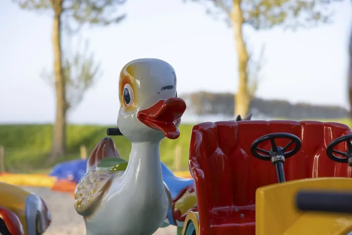 Framed Print : Colourful carousel duck on a playground near Sonnebschein