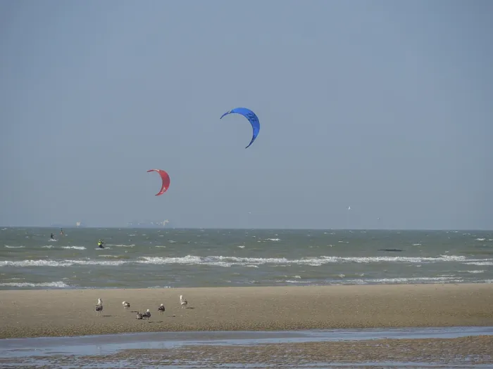 Framed Print : Colourful kites float in the sky while birds stroll along the beach