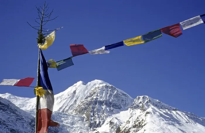 Framed Print : Colourful prayer flags, printed with holy verses and images of the Wind Horse