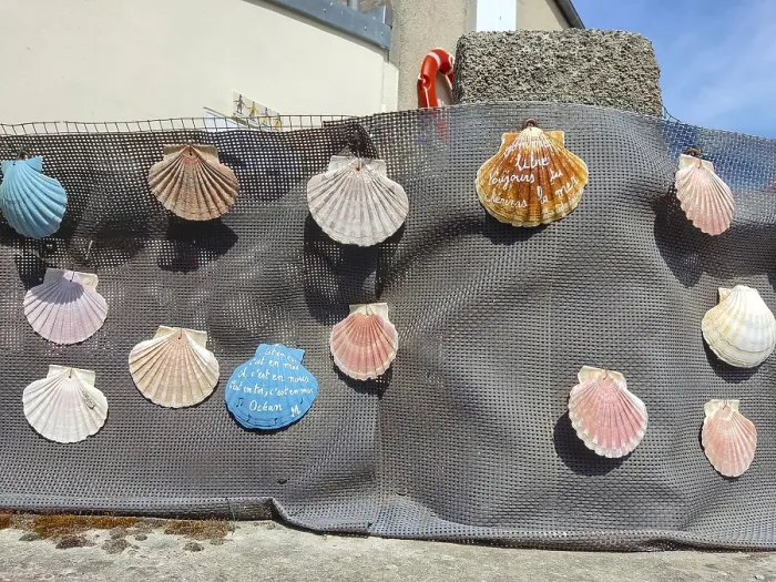 Framed Print : Colourful shells hanging on a net with coastal motifs on wall