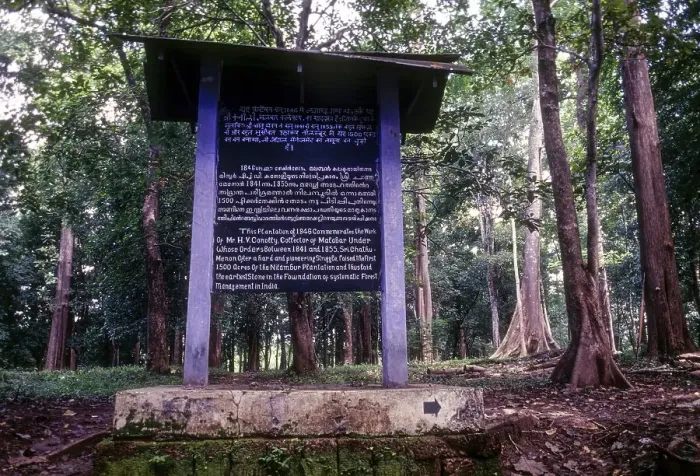 Framed Print : The Conolly's plot, Nilambur Framed Print : The Conolly's plot, Nilambur