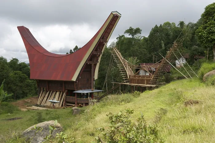 Framed Print : Construction of traditional Toraja houses