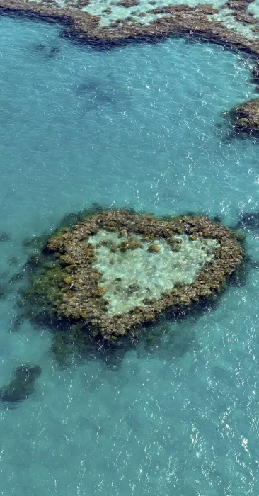 Framed Print : Coral Reef, Heart Reef, part of Hardy Reef
