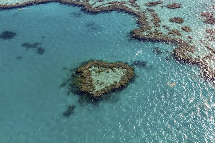 Framed Print : Coral Reef, Heart Reef, part of Hardy Reef