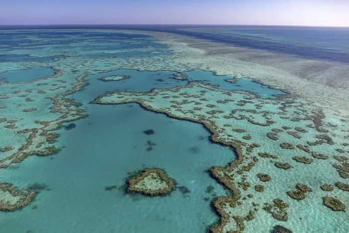 Framed Print : Coral Reef, Heart Reef, part of Hardy Reef