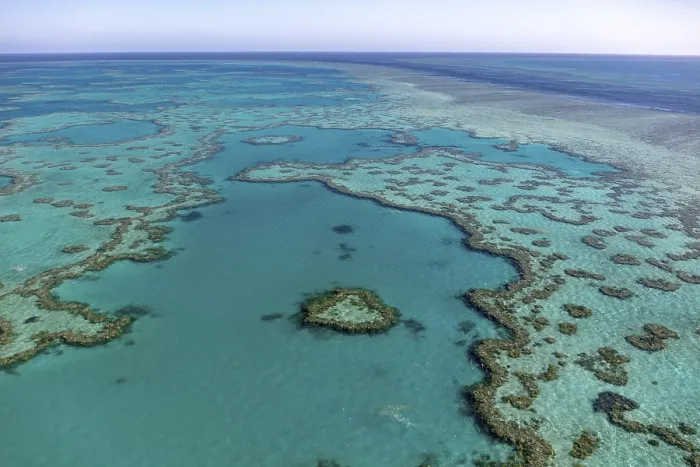 Framed Print : Coral Reef, Heart Reef, part of Hardy Reef