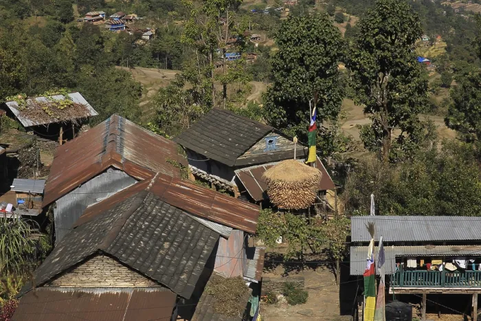 Framed Print : Corn on the cob stored in front of a farmhouse in Nepal