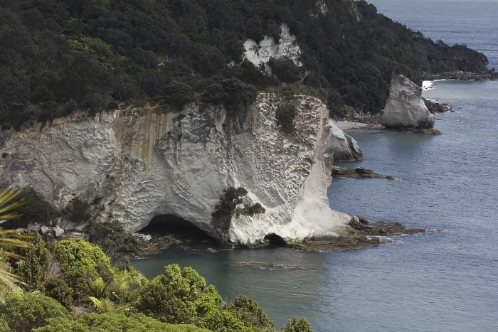 Framed Print : Coromandel Peninsula, New Zealand, Oceania Framed Print : Coromandel Peninsula, New Zealand, Oceania