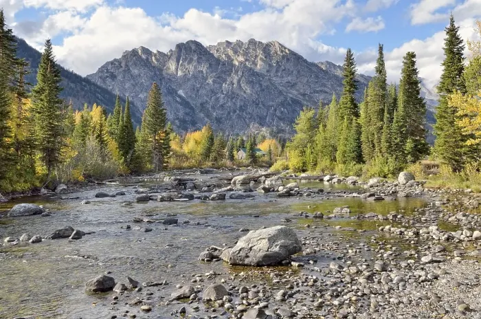 Framed Print : Cottonwood Creek with Rockchuck Peak