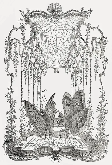 Framed Print : Country Ballet, Human Butterflies by Saint Aubin
