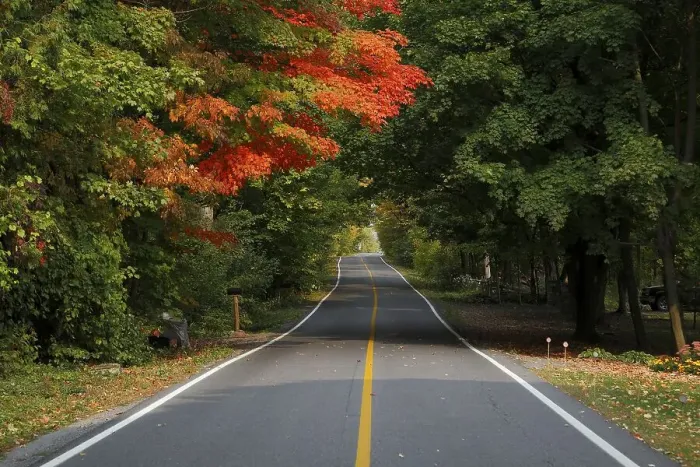 Framed Print : Country road through colourful autumn forest Framed Print : Country road through colourful autumn forest