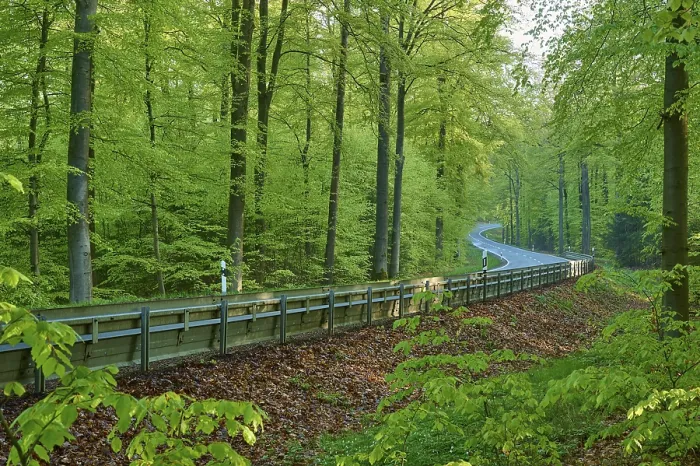 Framed Print : Country road, crash barrier, forest