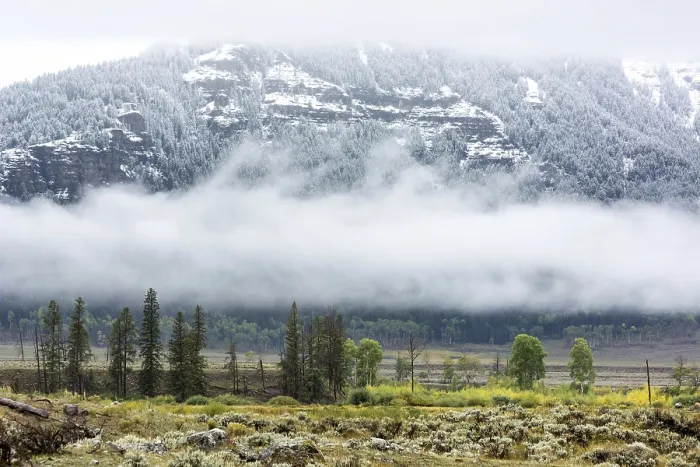 Framed Print : Countryside of Yellowstone National Park