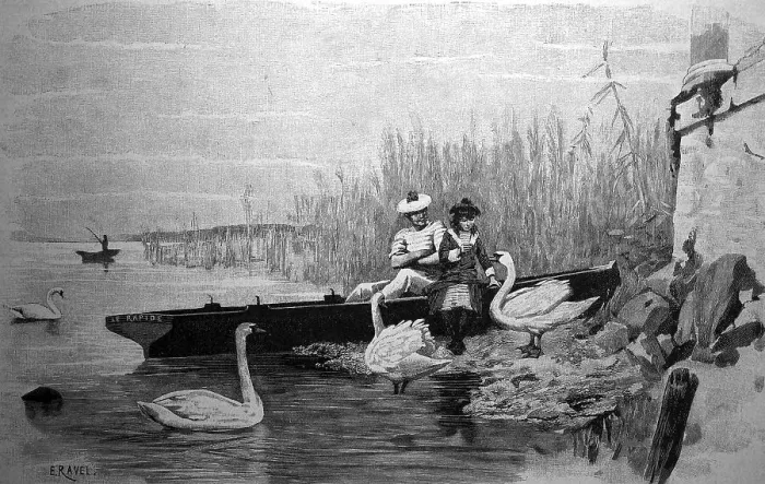 Framed Print : Couple feeding swans after a trip in a rowing boat