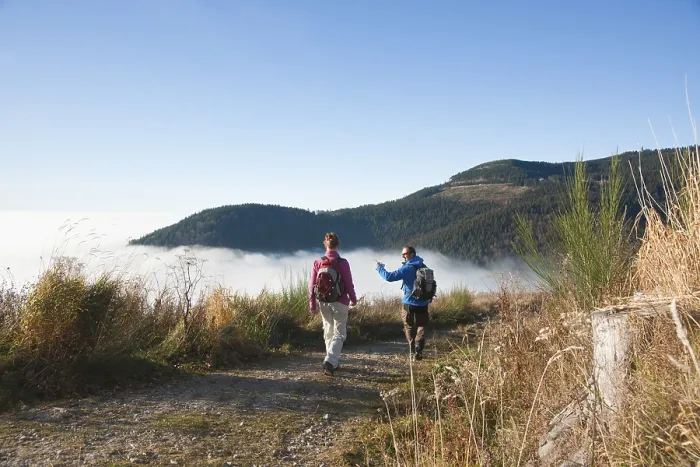 Framed Print : Couple hiking in the Black Forest Framed Print : Couple hiking in the Black Forest