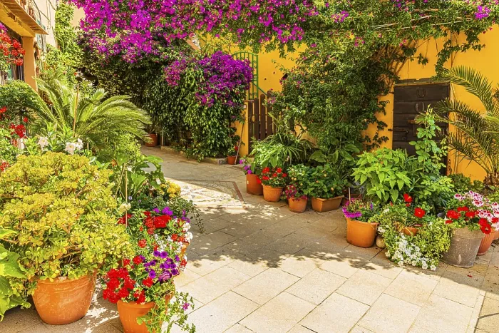 Framed Print : Courtyard decorated with flower pots Framed Print : Courtyard decorated with flower pots