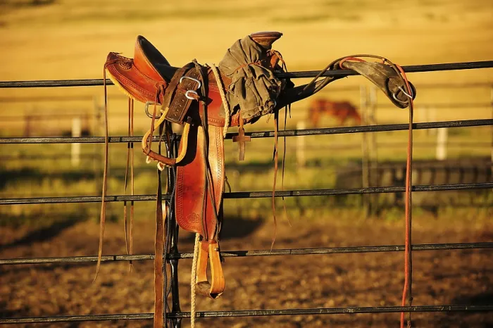 Framed Print : Cowboy saddle on an iron fence in the evening light Framed Print : Cowboy saddle on an iron fence in the evening light