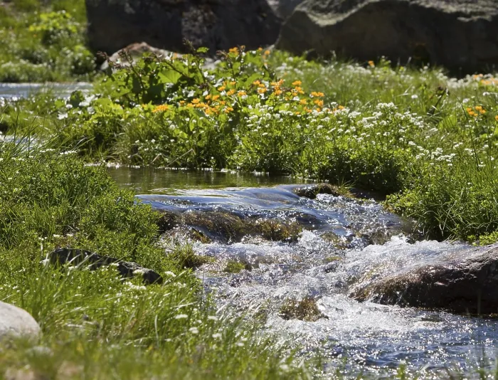 Framed Print : Creek flowing through alpine meadow