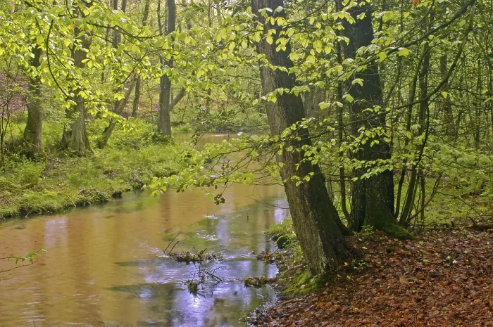 Framed Print : Creek Furlbach, Stukenbrock-Senne Framed Print : Creek Furlbach, Stukenbrock-Senne