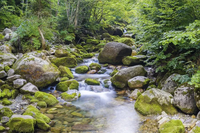 Framed Print : Creek and little waterfall in the Ligurian Alps
