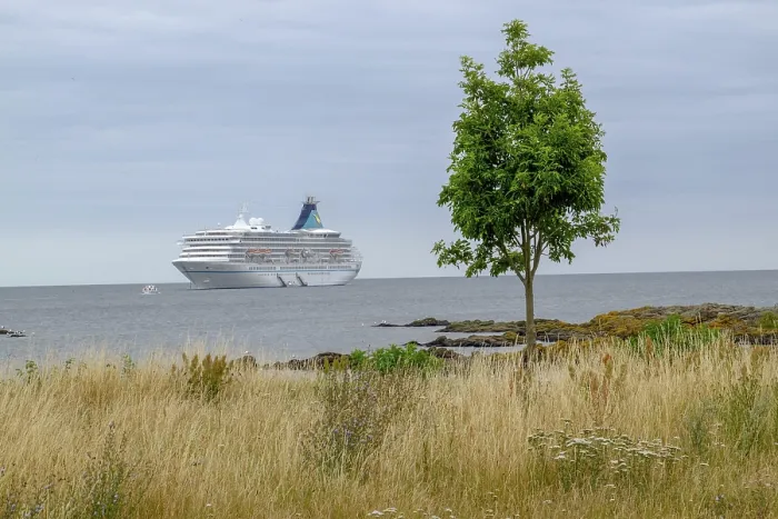 Framed Print : Cruise ship in the sea, lonely tree and grass in the foreground