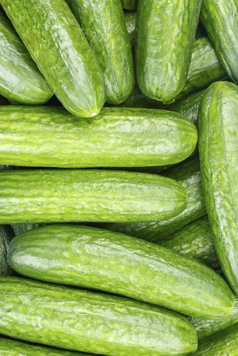 Framed Print : Cucumbers Cucumber Vegetable Background from above
