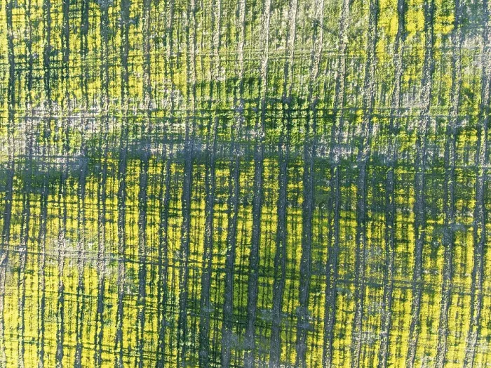 Framed Print : Cultivated land. Aerial view. Drone shot