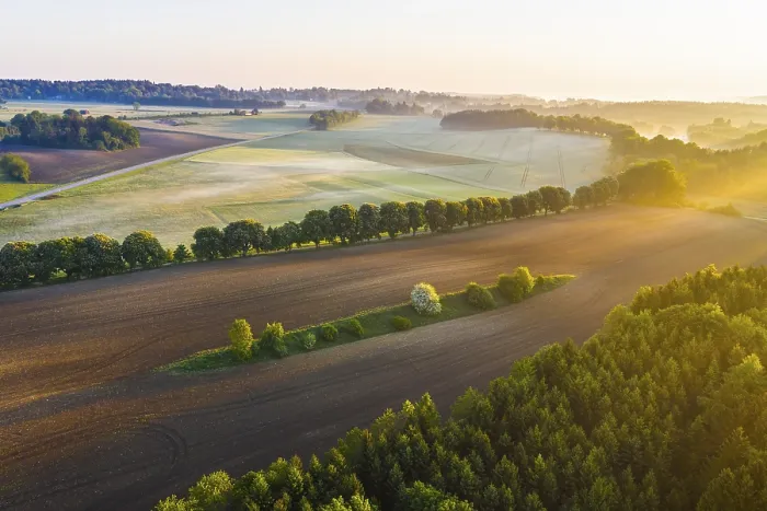 Framed Print : Cultural landscape in the morning light