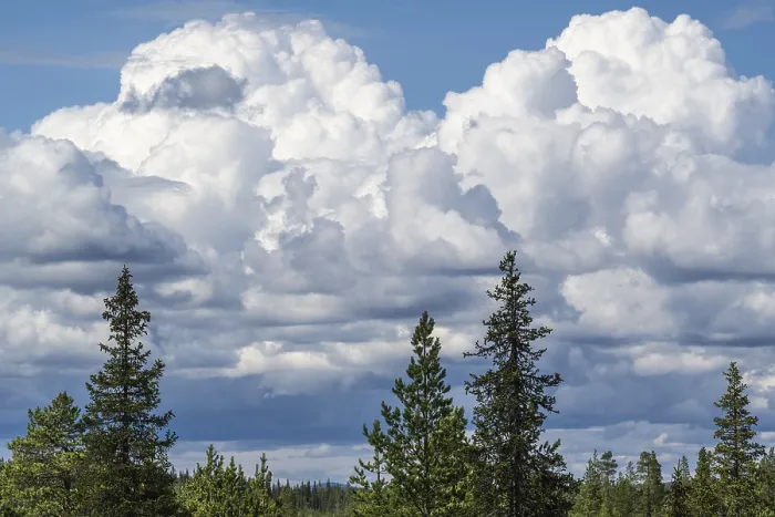 Framed Print : Cumulus clouds over boreal coniferous forest Framed Print : Cumulus clouds over boreal coniferous forest