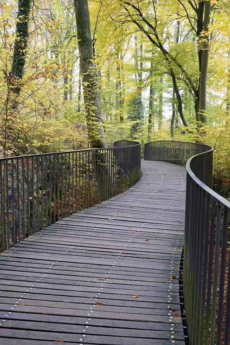 Framed Print : Curved pedestrian bridge in the Felsenmeer nature reserve