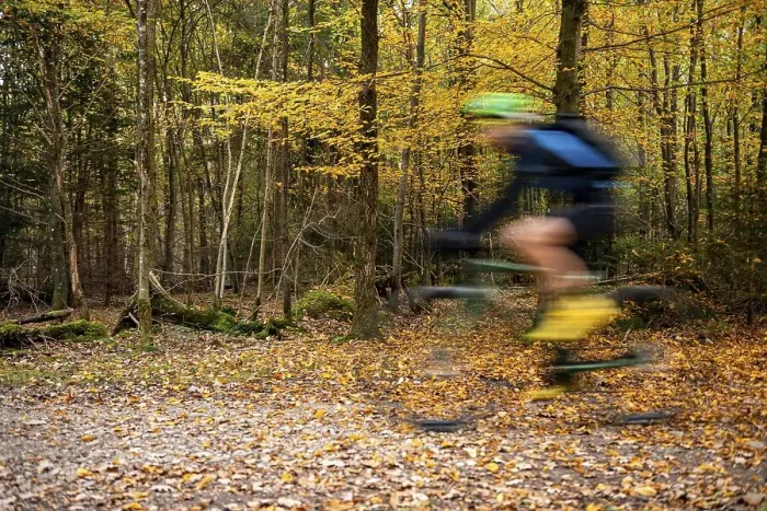 Framed Print : Cyclist in the autumnal forest