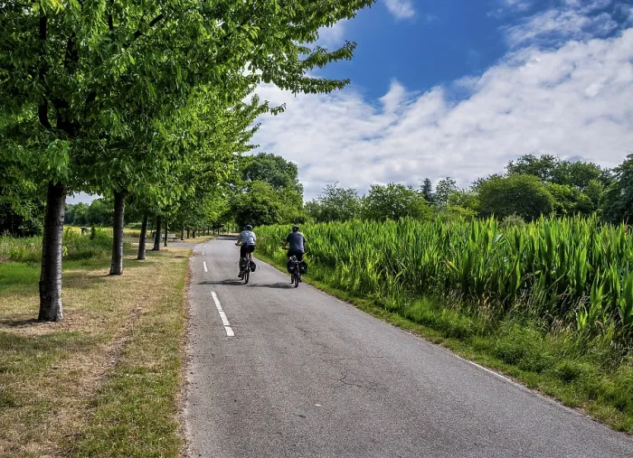 Framed Print : Cyclist on a cycle path between corn fields and trees along the route between Frankfurt am Main and Kelsterbach