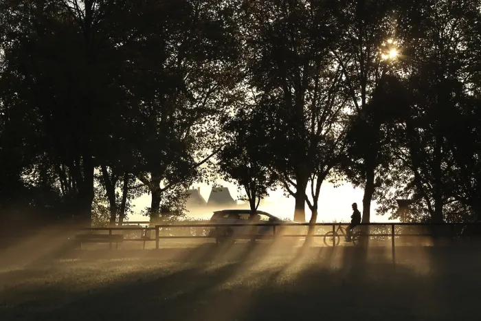 Framed Print : A cyclist rides freehand in the golden backlight of the morning sun on a cycle path under trees