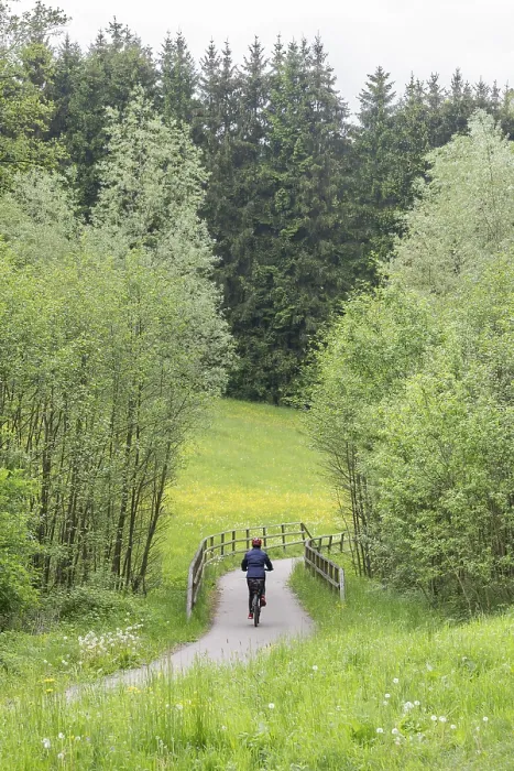 Framed Print : Cyclist riding on cycle path through meadow in a forest with bridge