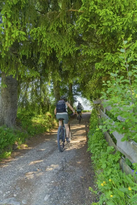 Framed Print : Two cyclists on a forest path, surrounded by dense trees