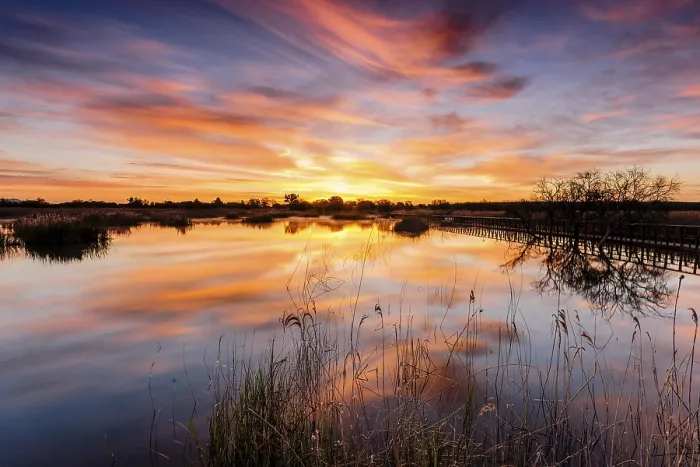 Framed Print : Daimiel Tables National Park, Ciudad Real
