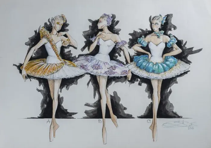 Framed Print : Dance, ballet, theatre costume