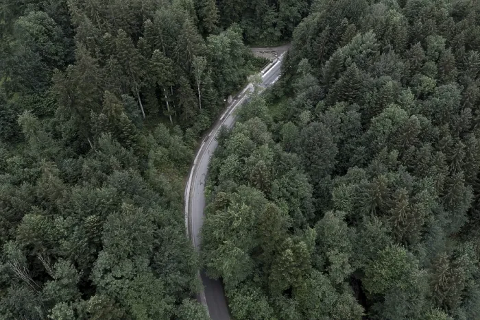 Framed Print : Dark mixed forest from above, with road Framed Print : Dark mixed forest from above, with road