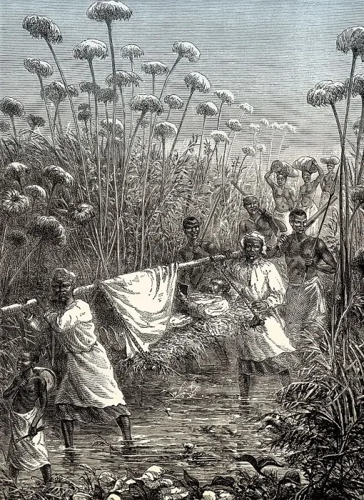 Framed Print : David Livingstone being carried to the village of Tchitammbo