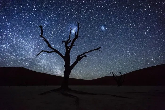 Framed Print : Dead tree in front of starry sky with Milky Way