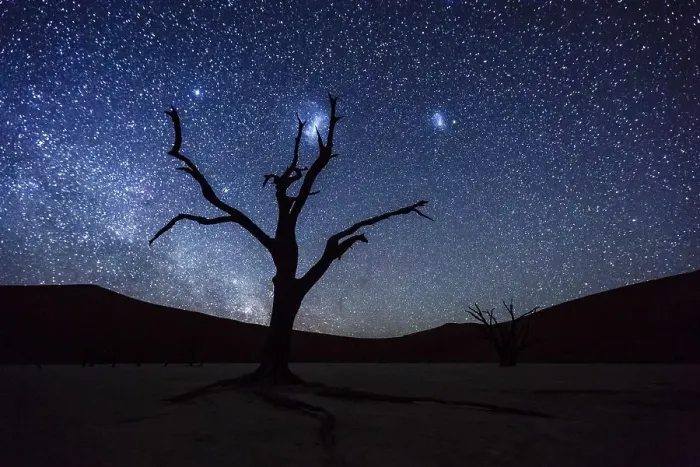 Framed Print : Dead tree in front of starry sky with Milky Way