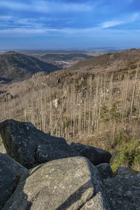 Framed Print : Dead trees, spruces, at the rock formation Kasteklippen on the Huthberg in the Harz Mountains