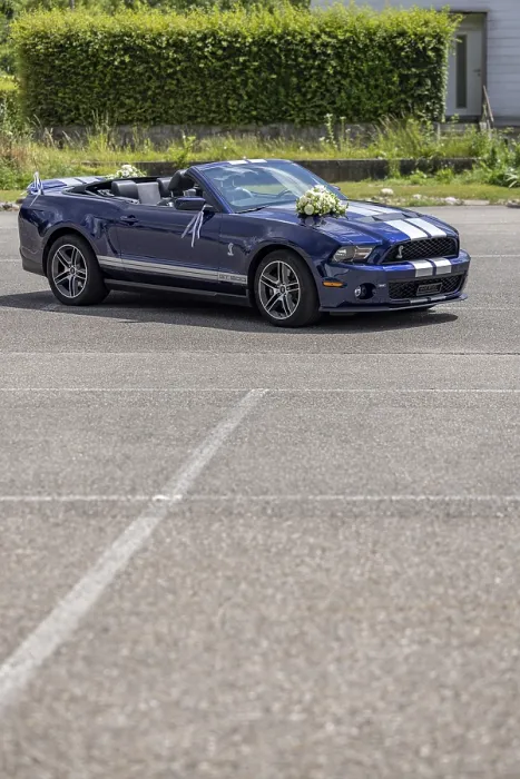 Framed Print : Decorated wedding car, Ford Mustang Shelby GT500