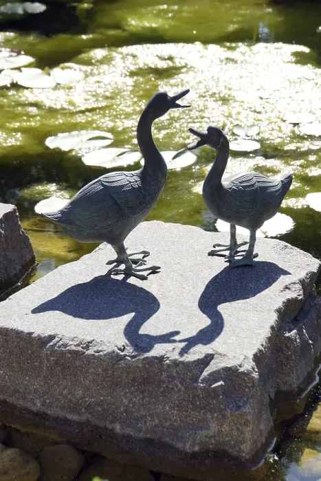 Framed Print : Decoration with two ducks at the garden pond