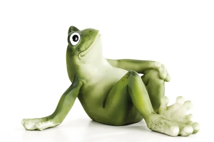 Framed Print : Decorative frog